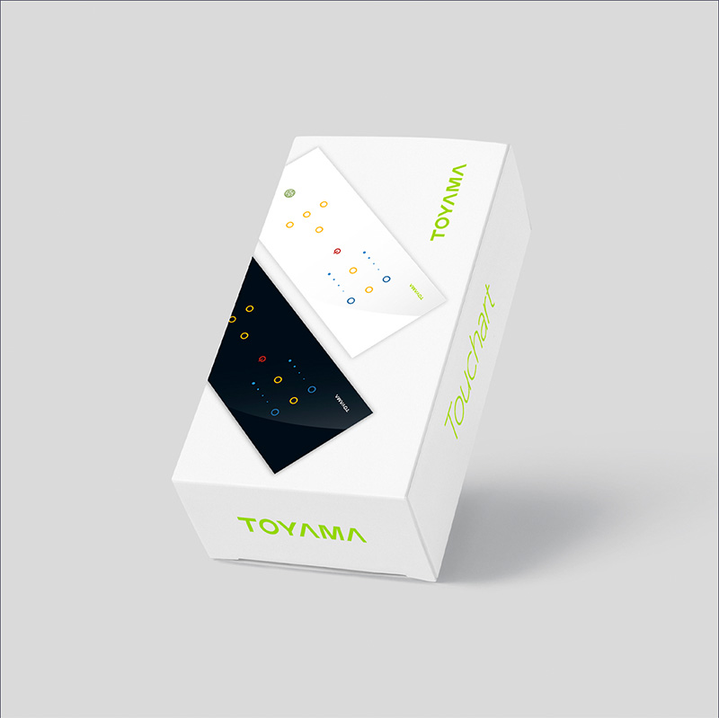 Toyama Website design